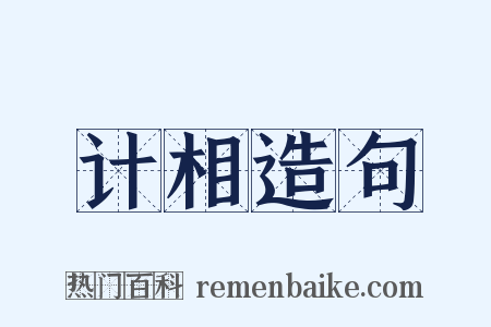 计相造句是什么意思的图片